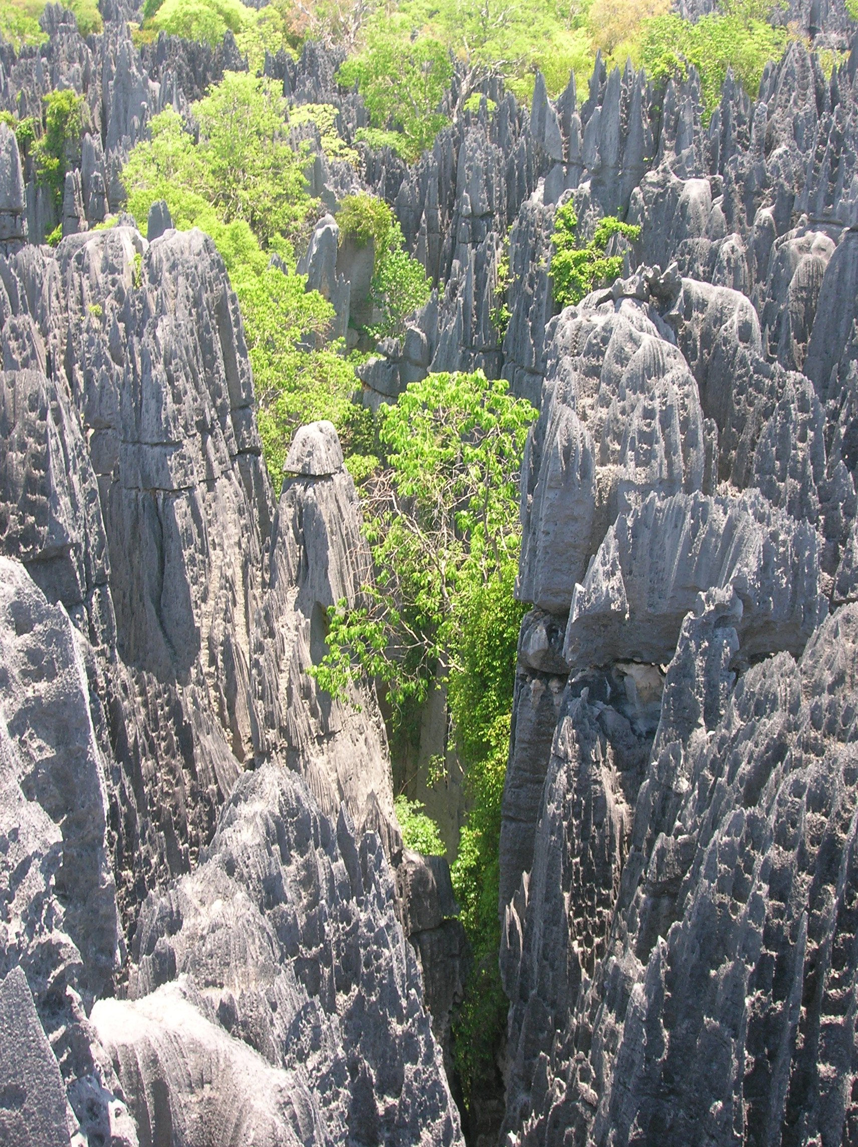 Circuit Touristique de Madagascar